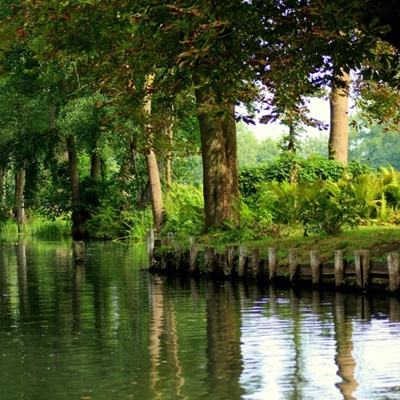 pg麻将胡了下载